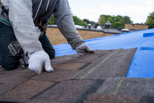 Roof Hail Damage